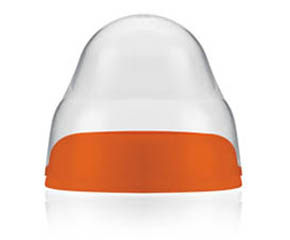 �����ǌ��ڏ���ƿ�w�Æ���