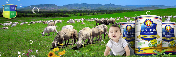 �X�^��������