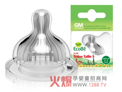 EcoB��������ؐ��������������ô��