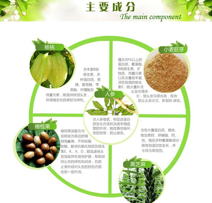 ���ҽz���o(h��)�l(f��)�� 300ml 2