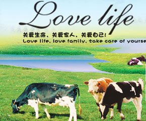 �۵Ø�(l��)�I(y��ng)�B(y��ng)�׷ێ��������������L(zh��ng)