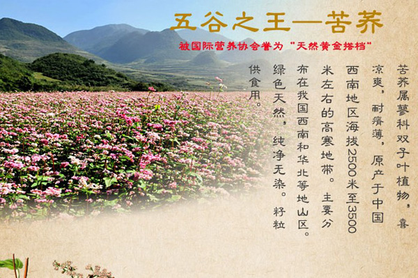 ���P����w��