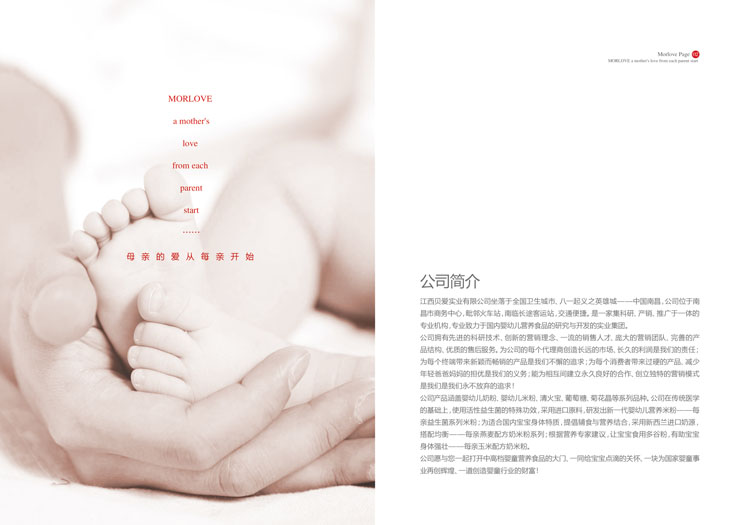 �ϲ�ؐ�ی��I(y��)���޹�˾������