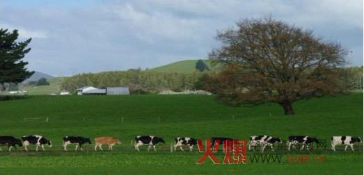 ����Ȼ�����̷� ��Ȼ�����ЈD������