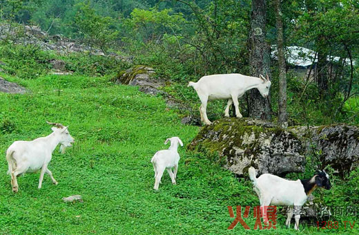 �������ݸ��|���˜� ���̷��I��Ʒ��