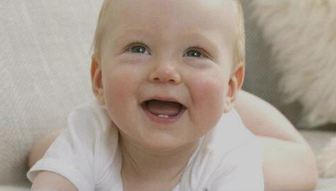 ɽ�|С�Ř���׃���Ʒ���޹�˾2