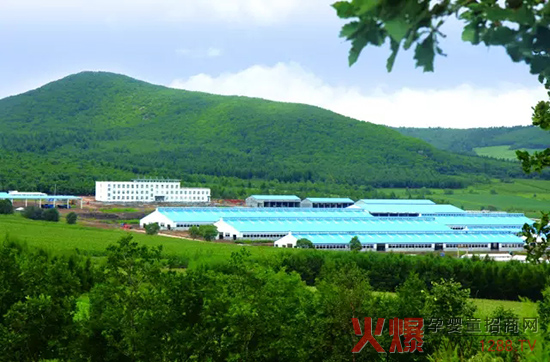 �l(f��)չ��(sh��)�w��(j��ng)��(j��)�����_(d��)ɽ���Є�(d��ng)��