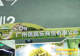 �V���������Q���޹�˾����2012�꾩���V��չ