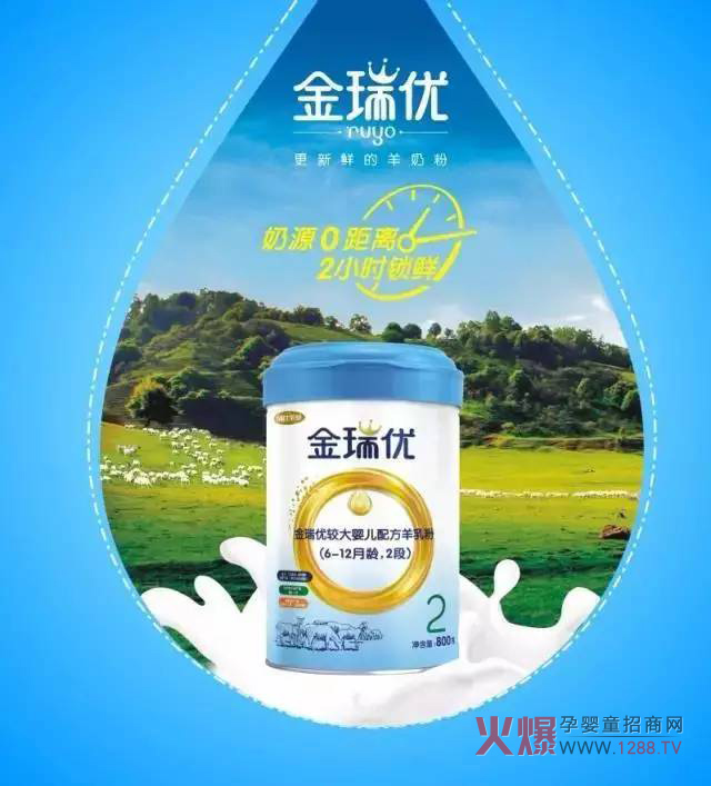 ���̷�+OPO�����ж����