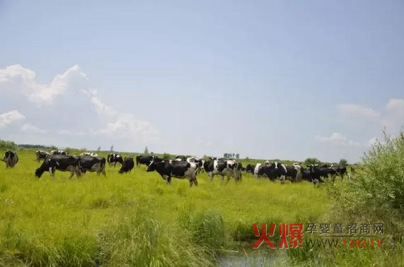 ���_(d��)ɽ�̷۞�Ε�(hu��)�ܵ��@ô���˵�ϲ��(��i)��