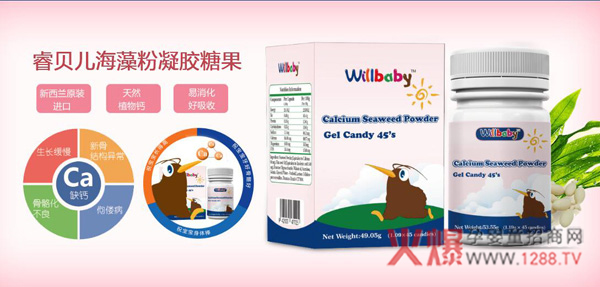 �ؐ����������z�ǹ� ���������a(b��)�}���x��