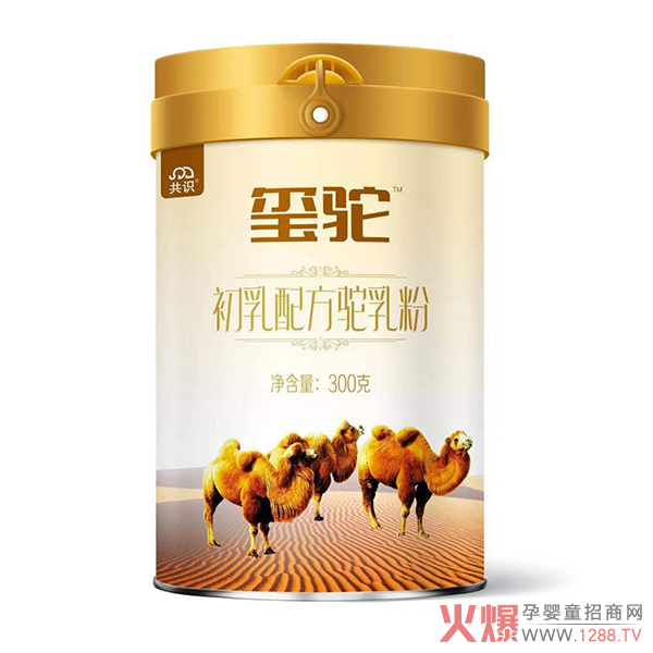 2020�Ă����ӵ��̷ۺ��u��׌�t����۽o�����