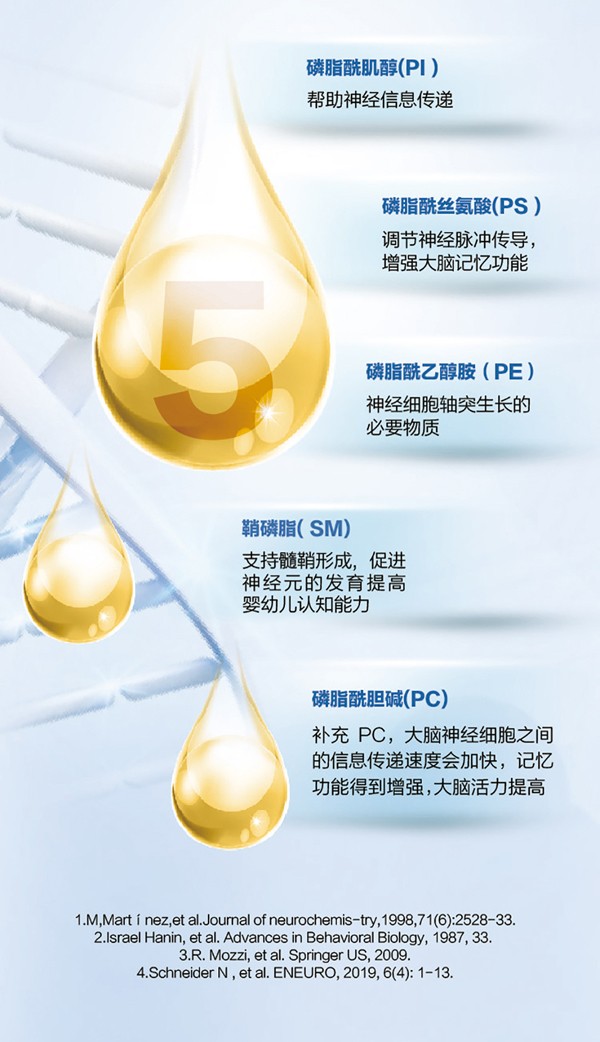   ؐ������Խ�׃��䷽�̷�(12-36���g��3��)4