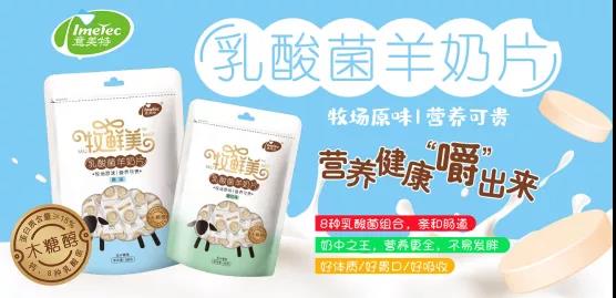 ����������Ƭ��������ʲôħ����������