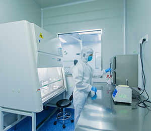  ��������S19