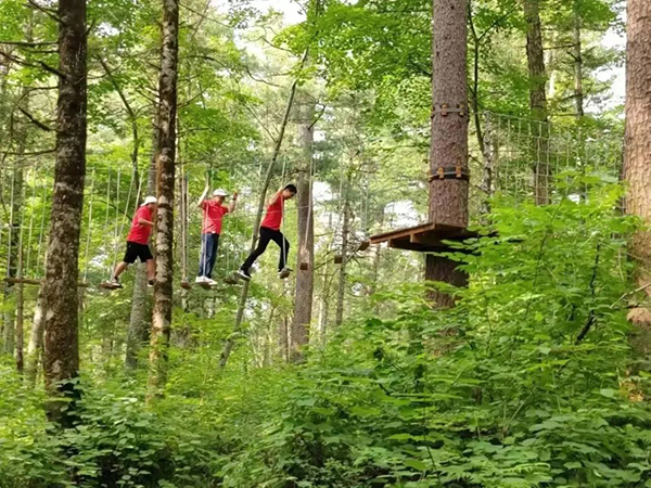 圖片18.jpg 圖片18.jpg