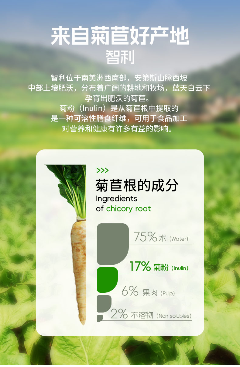 因紐粹IN-nutri進口優(yōu)質(zhì)菊粉詳情_04.jpg