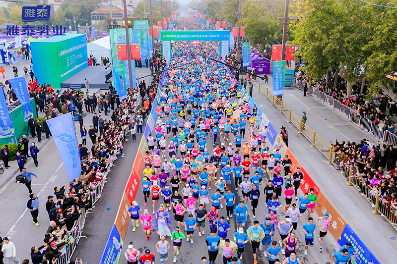 �f(w��n)�˹������������R����̩��I(y��)��2024���(y��ng)����(gu��)������R����ِ�A�M�ɹ���