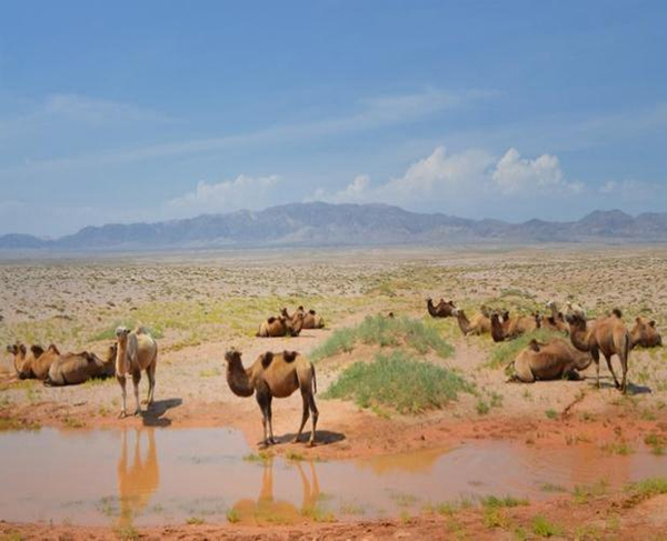 ���ƽz�ĸ�댣(zhu��n)�������\(ch��ng)�д���������ģʽ���´������o(h��)ȫ�ҽ������\(ch��ng)�����ļ�����