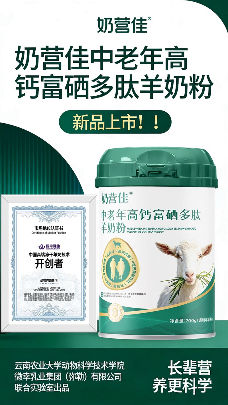  �̠I(y��ng)����������}�����������̷�02