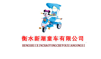 ��ˮ�³�ͯ܇���޹�˾