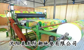 ɽ�|̩ɽ��(r��n)���z��Ʒ���޹�˾