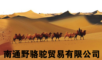 ��ͨҰ��Q�����޹�˾