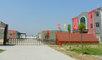 ��Ѩ�к�����(sh��)�I(y��)���޹�˾