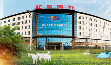 ����t��������I(y��)�ɷ����޹�˾