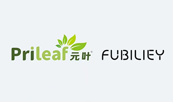 �o����Ʒ�Ʋ�