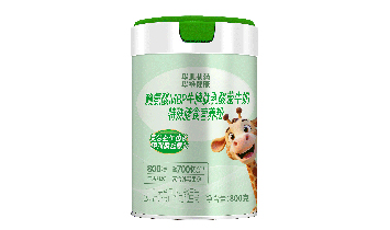 �����������^(q��)�Ȍ����@�̷۵꣨��(g��)�w���̑���