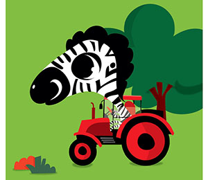 С�R�߰�����D