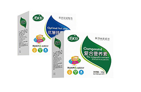 ���׿ƠI(y��ng)�B(y��ng)��