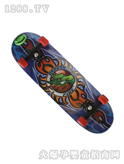 ���W�����^����