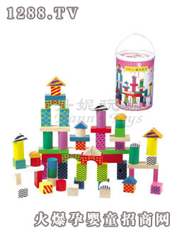 丹妮奇特桶裝積木70片