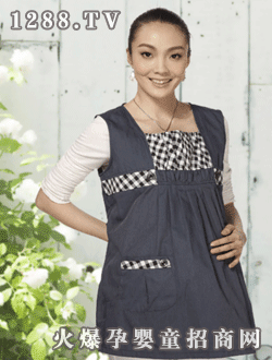 為生單層防輻射裙衫WY-9013