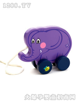 �Ⱥ������������