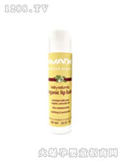 ��Ψ��yinge������