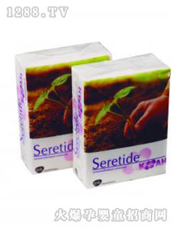 �f��yinge����T3S1-AES10