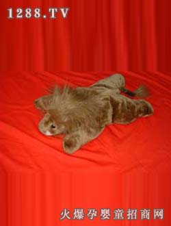 �d�A˯�´�c-004