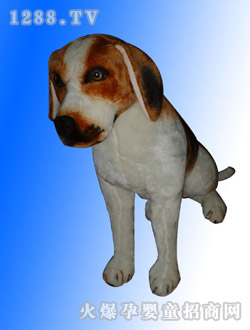 ���ҷ��������ɫ����