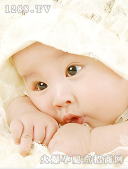 ���쌚���ɐ�(��i)��Ƭ