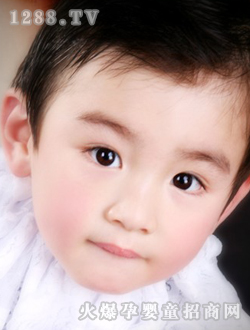 �����ɐ���