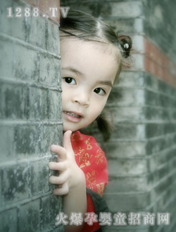 ������Ƭ