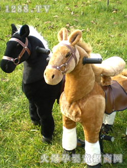 �����T���R