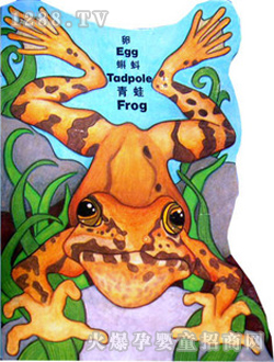 С��̖�����L�����w�������ģ�