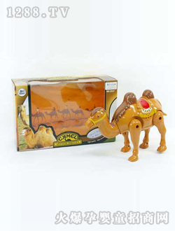 �n����������������