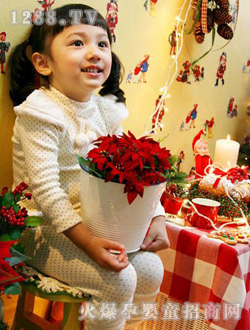 B2W2ʥ�Q�L(f��ng)������ɫ��ů���b