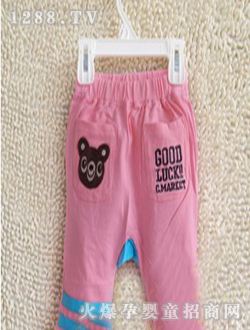 С���ӈD����PPѝ