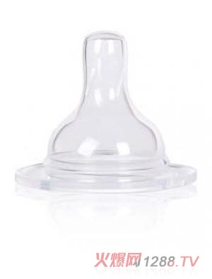 �ల���ڏ���������